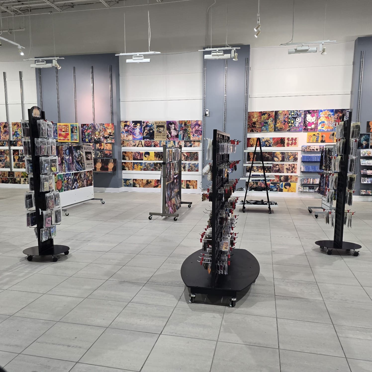 Collection Showcases